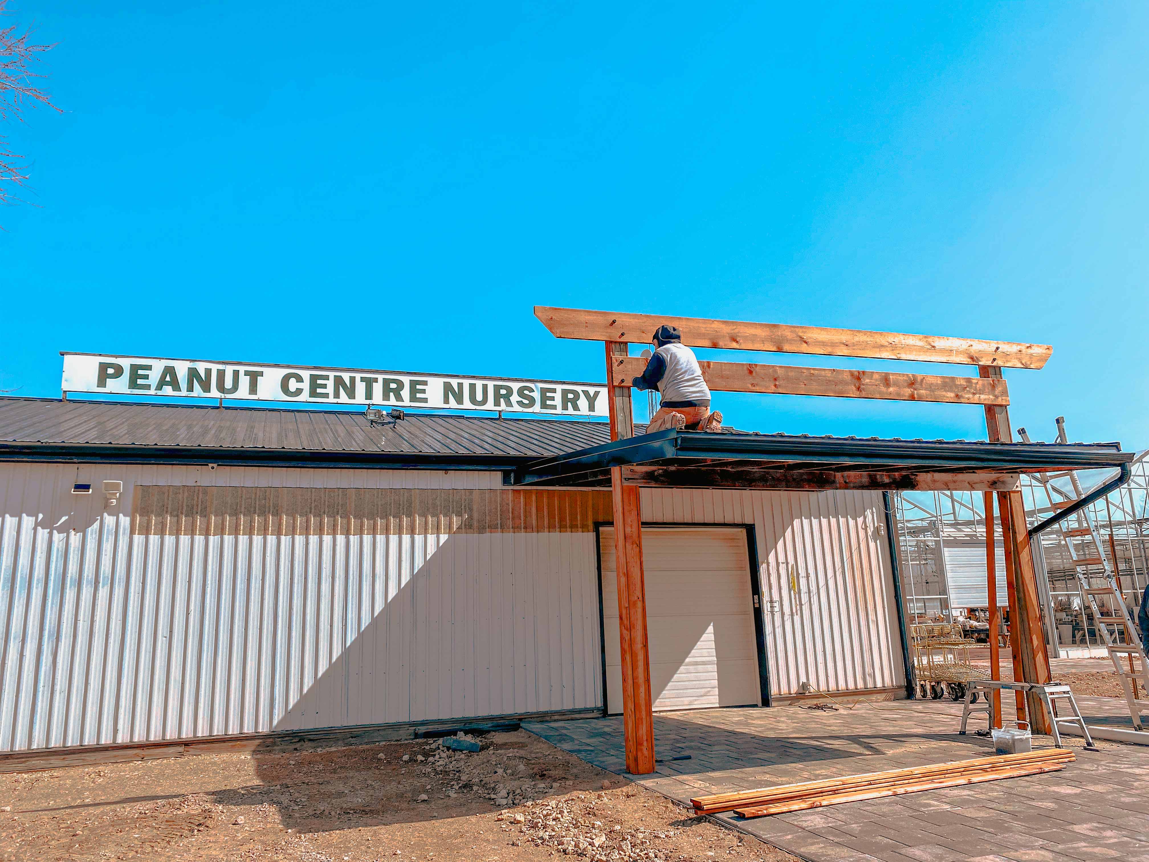 Commercial pergola construction at Peanut Centre Nursery
